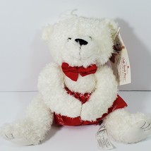 American Greetings Soft Touch Bear Magnetic Paws Card Holder 8&quot; Plush St... - £8.32 GBP