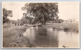 RPPC Cows Wading In Creek Farm Scene Real Photo Postcard Q29 - £5.94 GBP