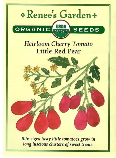 Tomato Orange Cherry Sungold Vegetable Seeds Fresh Garden - $12.70