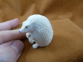 Hed-w8 little white Hedgehog shed moose ANTLER figurine Bali detailed ca... - $120.60