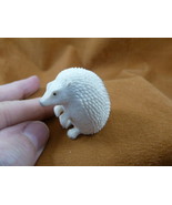 Hed-w8 little white Hedgehog shed moose ANTLER figurine Bali detailed ca... - £94.83 GBP