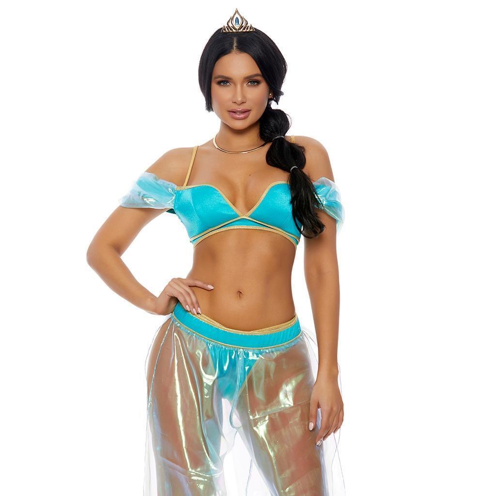 Primary image for Jasmine Princess Costume Crop Top Harem Pants Panty Tiara Crown Aladdin 559612