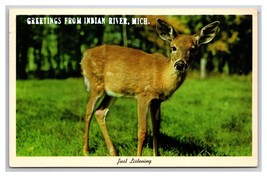 Generic Greetings Baby Deer Fawn Indian River Michigan MI Chrome Postcard W22 - $2.92