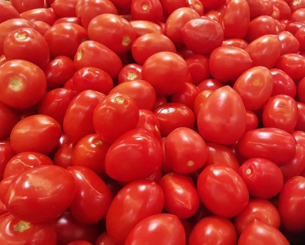 BPASTORE 320 Seeds Roma Heirloom Italian Tomato - £7.46 GBP