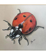 Pencil Drawing of a Lucky Ladybird - Digital Print - $15.00