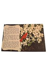 Postcard The Cardinal Bird Words Of Wisdom Chrome Posted - $4.84