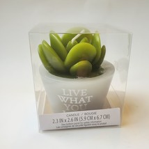 Succulent Shaped Candles, 2.6", Love Grows, Happy Place, Live What You Love image 6