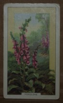 Vintage Gallaher Cigarette Cards Wild Flowers Foxglove 29 Number X1 B19 - £1.36 GBP