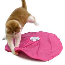 Undercover Mouse Chase Cat Toy: Dual-Mode Intrigue - £25.78 GBP