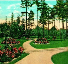 Woodland Park Paths and Gardens Seattle Washington WA UNP WB  Postcard  T14 - £3.06 GBP