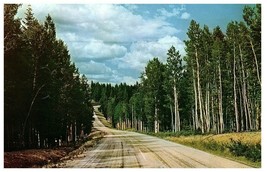 Lot 2 Kaibab National Forest &amp; Rare White Tail Squirrel Grand Canyon Postcard AZ - £9.58 GBP