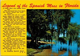Legend of the Spanish Moss in Florida Postcard PC65 - £3.89 GBP