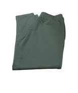 Tommy Bahama Palm Voyage Pintuck Pants Beetle Green Size Small New with ... - $101.55 CAD