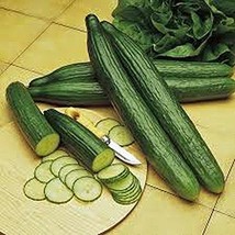 Cucumber, Long Green Improved Seeds, Organic, Non-GMO, 50 Seeds per Pack... - £2.31 GBP