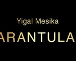 Tarantula II (Online Instructions and Gimmick) by Yigal Mesika - Trick - $72.22