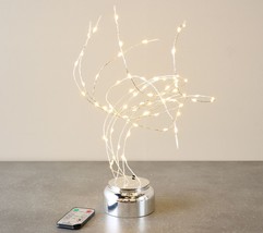 Bethlehem Lights Drop-In Fairy Lights w/ Color Flip LEDs in Silver - £155.44 GBP