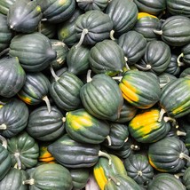 SHIP FROM USTABLE QUEEN ACORN WINTER SQUASH SEEDS ~ 2 LB SEEDS - HEIRLOO... - £82.80 GBP