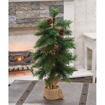 2ft - Royal Oregon Pine Artificial Christmas Tree w/ Burlap Base -  24 inch - £55.04 GBP