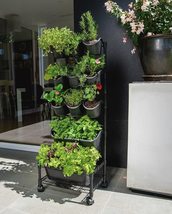 Watex Mobile Green Wall, Self-Watering planters, Indoor Gardening (Single Frame, - £39.81 GBP+