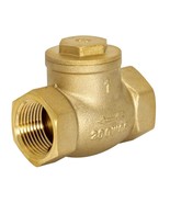 Eastman Swing Check Valve, 1 Inch IPS, Brass Plumbing Fitting, 20425LF - $32.99