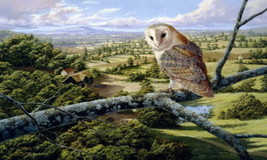 Art Decor Vintage Barn Owl Bird painting Picture Printed canvas Giclee - £7.43 GBP+