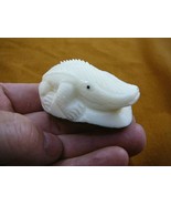 (tne-all-305) little baby gator alligator hatchling TAGUA NUT figurine - €31,85 EUR