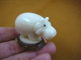 (TNE-HIP-83-C) Hippo Hippopotamus TAGUA NUT Figurine palm carving I love... - £18.43 GBP