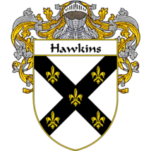 Hawkins Family Crest / Coat of Arms JPG and PDF - Instant Download - £2.28 GBP