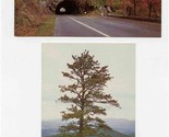 Shenandoah National Park Caverns Skyline Drive Brochures &amp; Postcards Lot... - £29.72 GBP