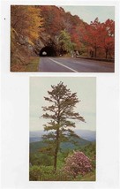 Shenandoah National Park Caverns Skyline Drive Brochures &amp; Postcards Lot 1974 - £29.58 GBP