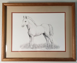 Foal Baby Horse Art Print Signed Karen Boyd Numbered 9/100 Colt Filly 1984 - £115.04 GBP