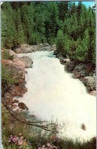 Shuswap Falls British Columbia Postcard Posted 1959 - £5.90 GBP