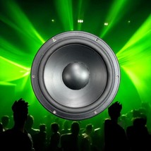 12&quot; Dynaudio 30 W-100 XL 08 Speaker SR250 Item No: 87980 - $148.49