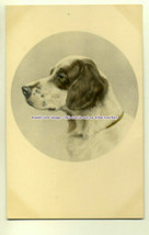 an0098 - Portrait of Gun Dog, by M.M.Vienne, No.192 - postcard - $2.54