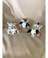 Dotty Spot Sparky Trio 1 Of a Kind 2 Tush Tags Oddities / Unique Feature... - €21.529,45 EUR Dotty Spot Sparky Trio 1 Of a Kind 2 Tush Tags Oddities / Unique Feature... - €21.529,45 EUR