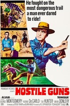 Hostile Guns - 1967 - Movie Poster - £7.98 GBP+