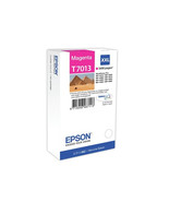 Epson T13S320 EPSON T13S DURABRITE PRO STANDARD CAPACITY MAGENTA INK CAR... - $169.57 CAD
