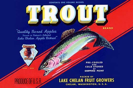 Trout Brand Apples 20 x 30 Poster - $25.98