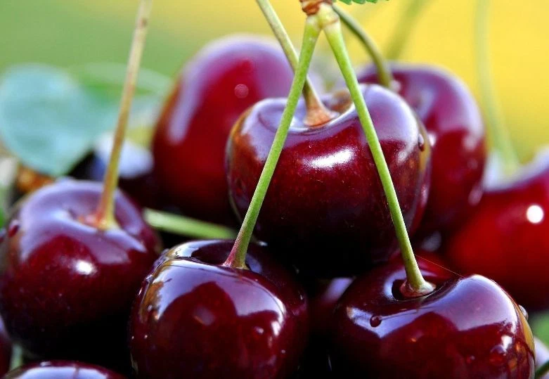 10 Seeds of Red Cherry Fruits E136, Home Garden Fruit Seeds Item image 3