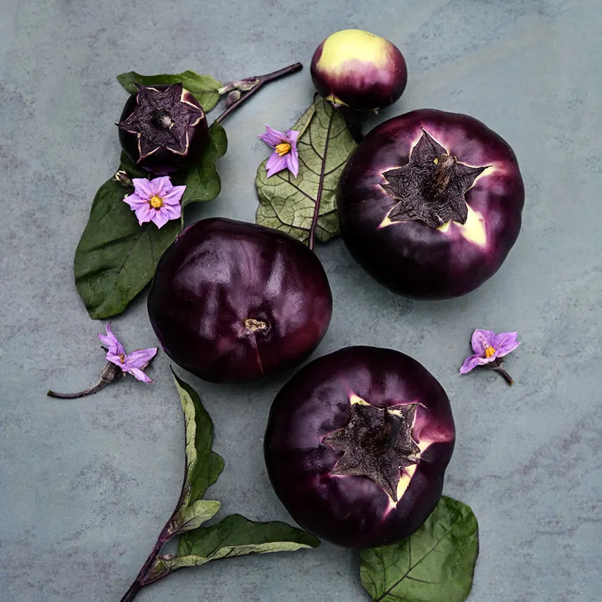 EGGPLANT QI YE ROUND, 15 SEEDS R - $14.35