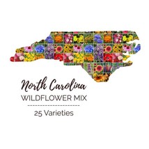 FA Store 1000 Seeds Wildflower North Carolina State Mix Perennials &amp; Ann... - £7.87 GBP