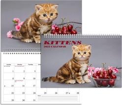 2023 Spiral-bound Wall Calendar (Kittens) - 12 Months Desktop / Wall Calendar - £9.48 GBP