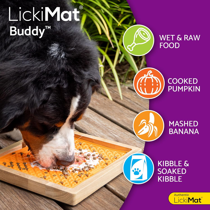 8"X8" Pack of 2 Slow Feeder for Dogs Boredom & Anxiety Reducer for Food Treats Y Item image 4