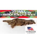 NATURAL MANGROVE DRIFTWOOD #M110 WYSIWYG - AQUASCAPING, SUPER PRICE!! DE... - £19.71 GBP