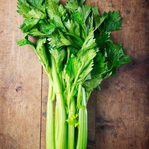 3000 Tall Utah Celery Seeds   - £5.07 GBP