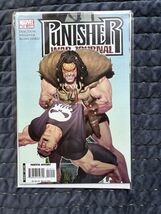 Punisher War Journal #14 (Marvel Comics February 2008) - $27.55