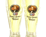 2 Bischoff Konigsbrau Schwarz Fischer Pschorr 0.3L Weizen German Beer Gl... - $14.50