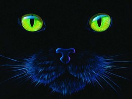 Framed canvas art print giclée black cat face green eyes - £31.27 GBP+