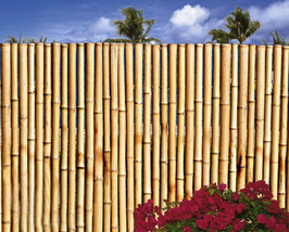 Bamboo Fence- Sold In 8 Foot Sections Choose from 4 Heights-Natural Color - £87.92 GBP+