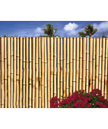 Bamboo Fence- Sold In 8 Foot Sections Choose from 4 Heights-Natural Color - £87.91 GBP - £395.60 GBP